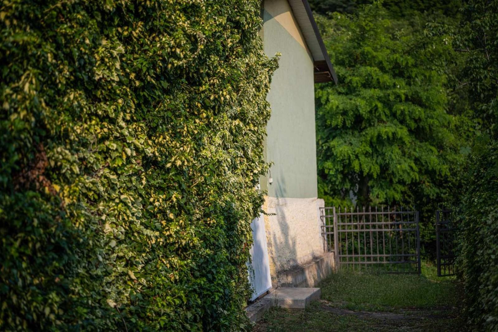 Vacation Home Rot Ohrid Esterno foto